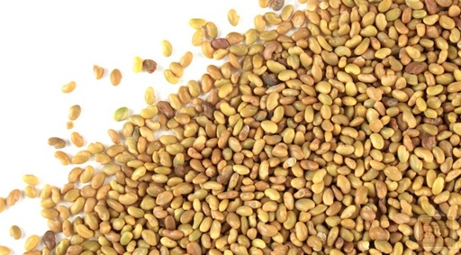 SEMILLAS DE ALFALFA SAN PEDRO X 1 KG