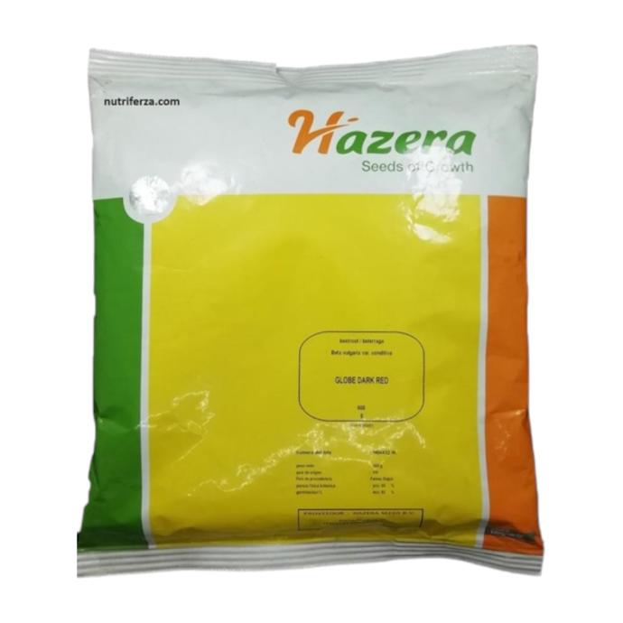 BETERRAGA GLOBE DARK HAZERA