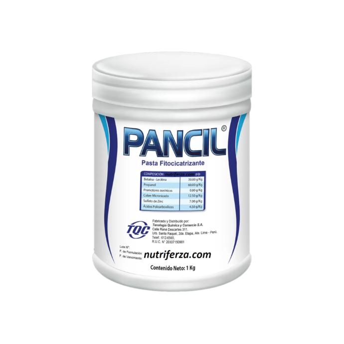 PANCIL X 1 KG (Pasta Fitocicatrizante)