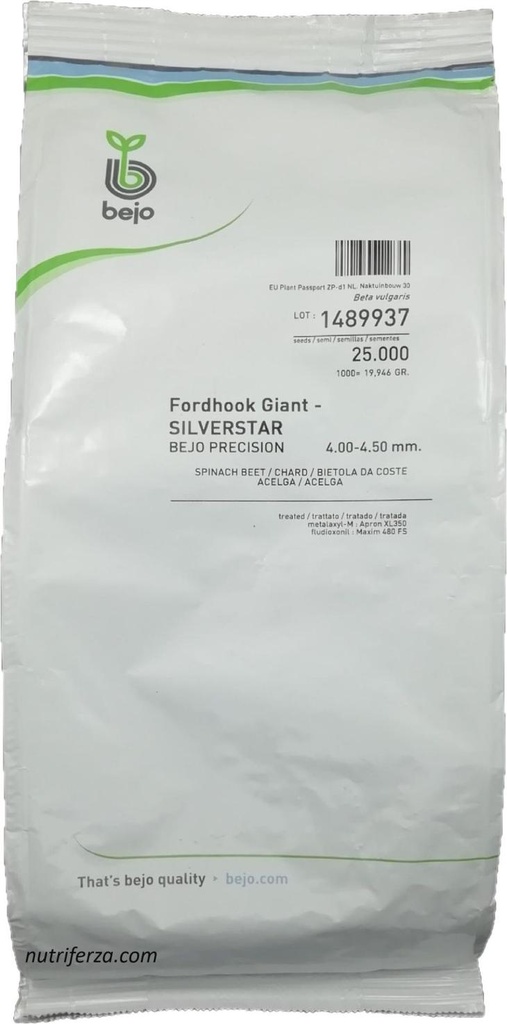 ACELGA BEJO SILVERSTAR - 25 MIL SEMILLAS/4.00-4.50