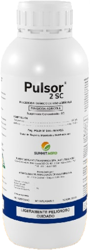 PULSOR X 500 ML