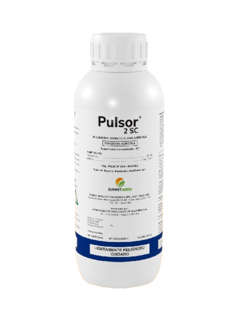 PULSOR X 1 LT (Thifluzamide)