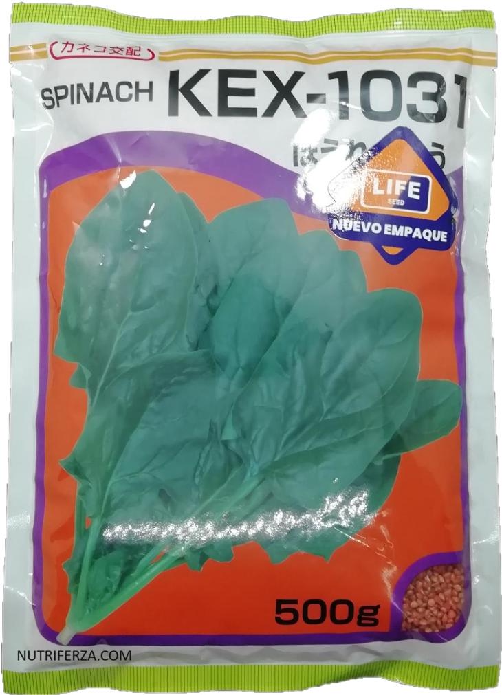 ESPINACA KEX-1031 F1 - 500 GRAMOS