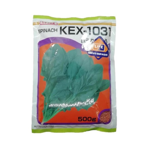 [02AYS014] ESPINACA KEX-1031 F1 - 500 GRAMOS