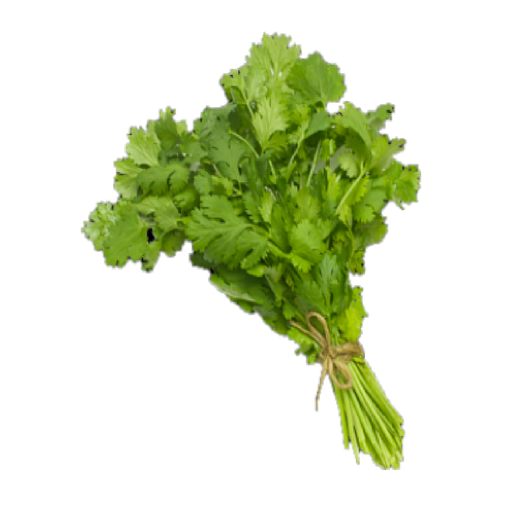 [02AYS026] KILOG. CULANTRO AMERICANO LONG STANDING LIFE  SEEDS
