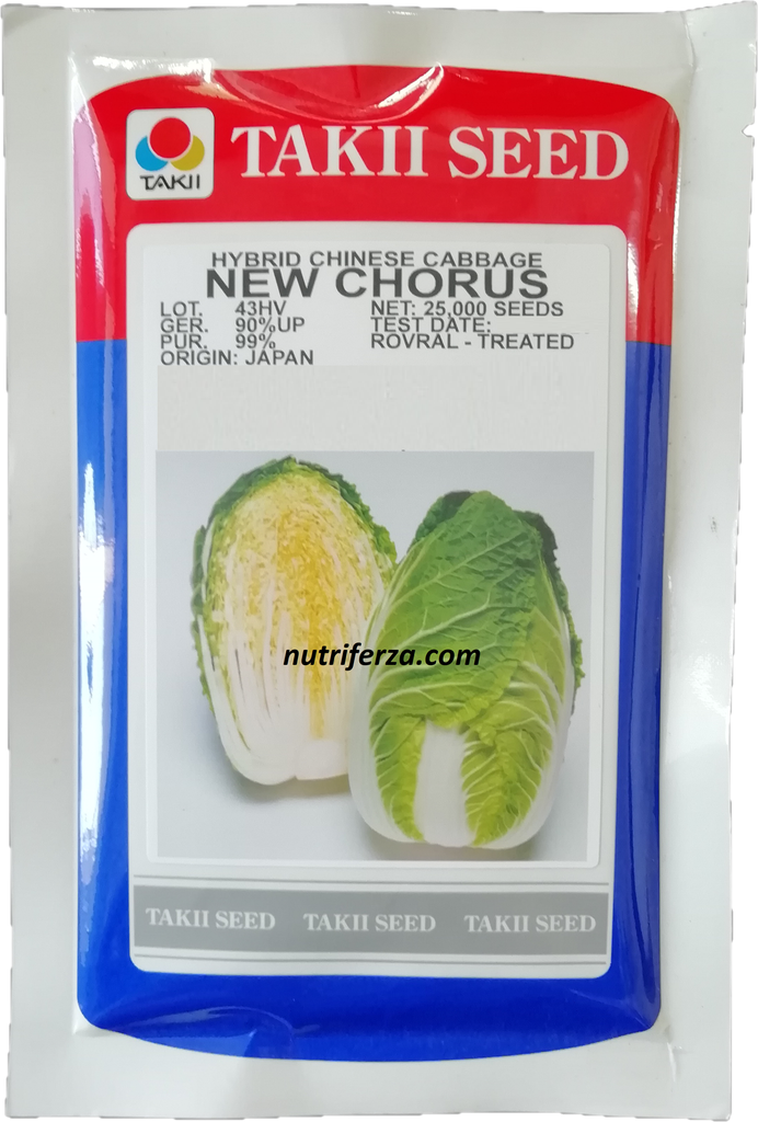 COL CHINA NEW CHORUS SB X25,000 SEM.