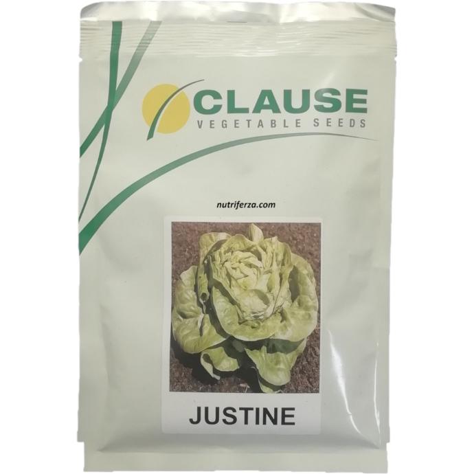 LECHUGA JUSTINE ELITOP SB X 5,000 SEM.