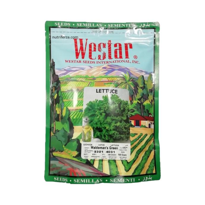 LECHUGA ORGANICA X 500 GR WESTAR *