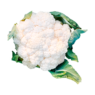 COLIFLOR HIBRIDA SUNSHINE  X 25 MILLARES