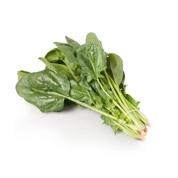 ESPINACA TRAGOPAN RZ  X 25 MILLAR