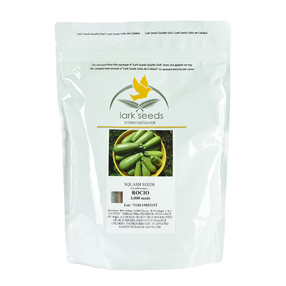 SEMILLA DE ZAPALLITO ITALIANO ROCIO X SOBRE DE 3,000 SEM