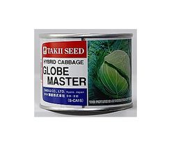 [1238] COL GLOBE MASTER TAKII X 100 GR