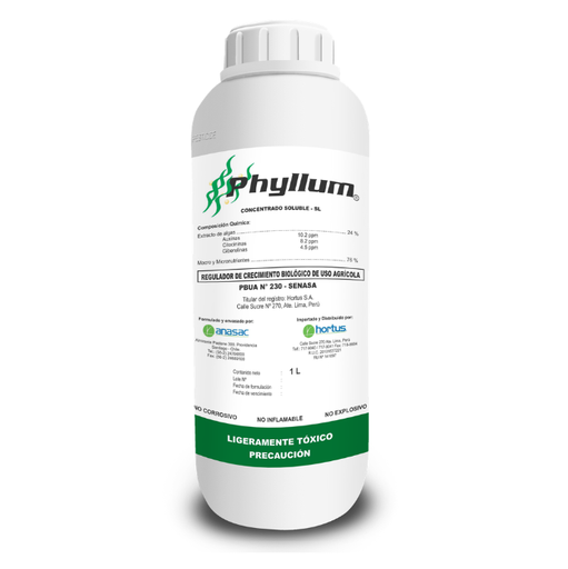 [01HOR080] PHYLLUM X 1 LT