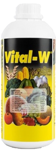 [342] VITAL-W X 1 LT (Abono Foliar)