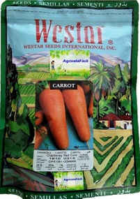 [02SMA038] ZANAHORIA CHANTENAY X 500 GR WESTAR