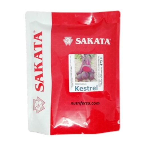 [01TQC134] SEM BETERRAGA KESTREL BOLSA X 25 KS (473 g) SAKATA