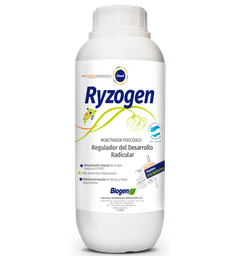 [764] RYZOGEN SINES-3 X 1LT