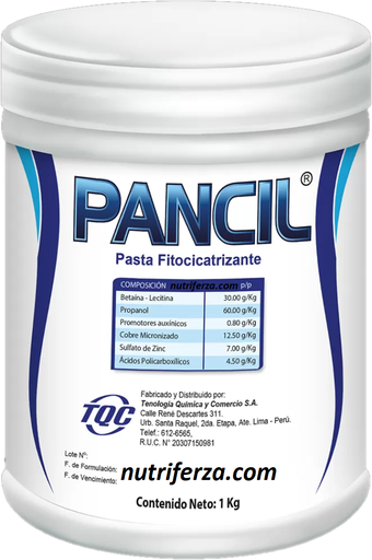 [01TQC098] PANCIL X 1 KG (Pasta Fitocicatrizante)