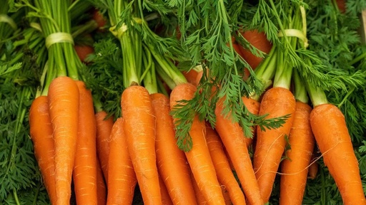 [02SMA035] ZANAHORIA CHANTENAY X 500 GR PROFESSIONAL SEEDS