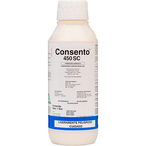 [01DRK017] CONSENTO 450 SC X 1 LT (Fenamidona + Propamocarb)