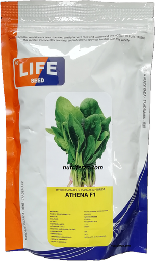 [02AYS011] ESPINACA ATHENA F1 X 1 LIBRA