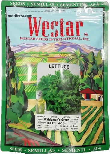 [02SMA026] LECHUGA ORGANICA X 500 GR WESTAR *