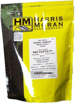 [02TAK032] RABANITO HM RED CASTLE SB X 10,000 SEM